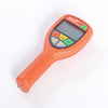 T402HR High Dose Rate Monitor